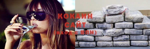 дживик Богородицк