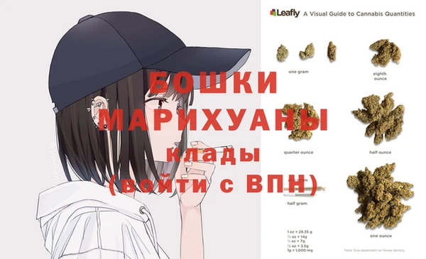 дживик Богородицк