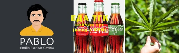 крисы Бугульма