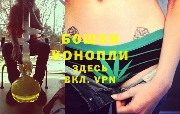 дживик Богородицк