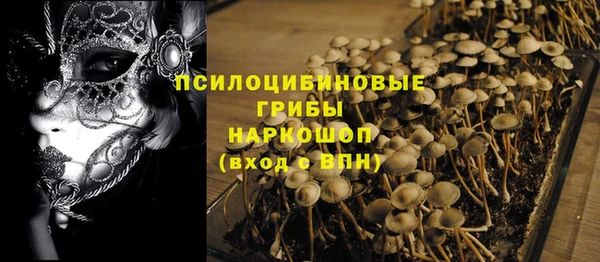 крисы Бугульма