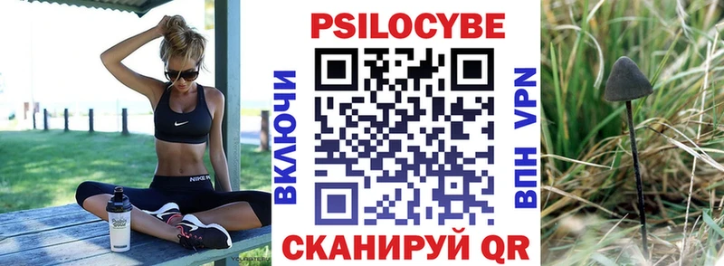 Галлюциногенные грибы GOLDEN TEACHER где купить Калининец